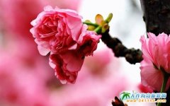 ���203�ߵؙѻ��@�TƱ