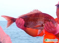 ��~��܊�����īC��