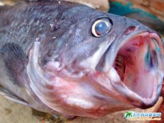 2008��~���еđ�r