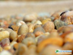 ��Ӎu悵��Z��ʯ�DƬ