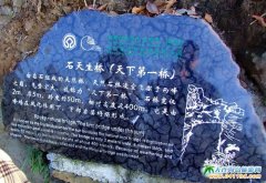 ���ҽ����ξ��c-���µ�һ��DƬ