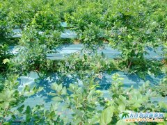 ���B޹�²��f�@�{ݮ��ժһ����