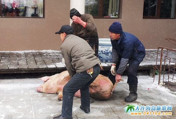 ��֮�l��ζ��ʳ��