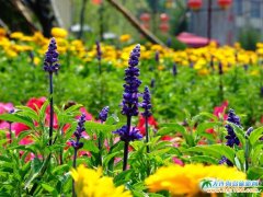 ���B��Ȫ�DƬ�����r���\�صĴ��B��ʯ���L(f��ng)��Ȫ