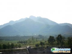  �B�С��ɽɭ�ֹ��@�� �\Մδ���lչ