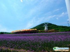 2013���B޹�²��f�@���DƬ����