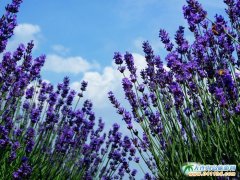 ��ɫ�ď���,���ː۵ć̏�!2013��