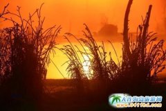 �L��ɽ����-�w�һ���̲����F����ԻÈ���