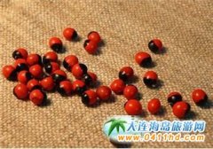 �����خa֮���ϼt��