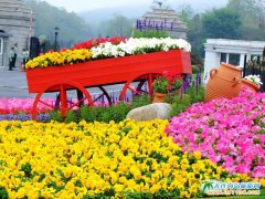 �������B,���F(tu��n)�\�صĴ��B��颍u���^(q��)�DƬ