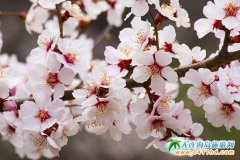 �M���һ�����֥�ɾ�