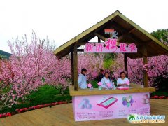 旅順櫻花園圖片——203櫻花園