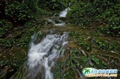 ���ҽ��Ǳ����z�������ķ�nϪ