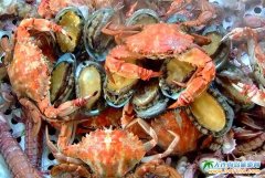 ���ɍu��ʳ�DƬ���������