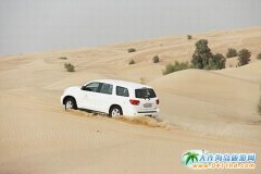 �ϰ����ξ��cɳĮ�_ɳ����