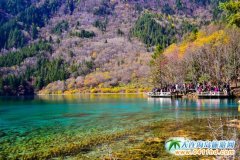 ���¾�կ�ϣ��@��������Ҋ��ľG��