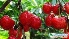 �Aӆ�H���溣�Ρ����Ҳ�ժ���ػ�