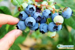 ���B��ʯ�{ݮ��ˇ�g����zӰ��ِ