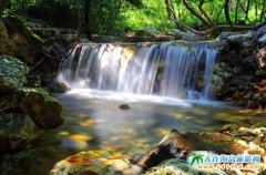 ������գ����f�����Tɽ����ɭ�ֹ��@