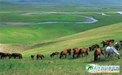 �����ɹŲ�ԭ���Ρ��Ї����������ԭ����