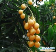 7���SƤ�������ݵ�������ժ