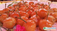 2015���B���H����ҹ�ϵ�л�ӡ�