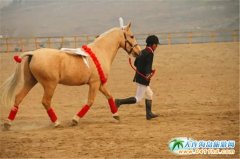 �g�����_Ľ����8��8��¡�����_�������ο����TƱ��