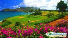 8��(n��i)�ɹ����ι��ԣ�8��(n��i)�ɹŶ�����Щ�����