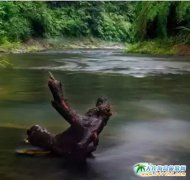 �Ĵ���(n��i)��ʯ������Σ��Ĵ���(n��i)��ʯ������ι��ԣ��Ĵ���(n��i)��ʯ�����