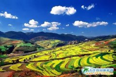 �ն��ż��l����2700���������Ұ����������ڵ�