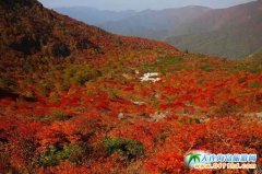 �ձ����Ρ����~�c�ٲ��Į���