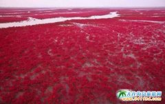 ����ɽ����֮��Ȫ�VȪȺ