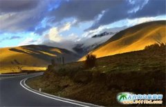 ����317�M�ع�������߅�L��һ�[