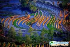 ����Ԫ��������ι��ԣ�ʲô�r��ȥԪ��������