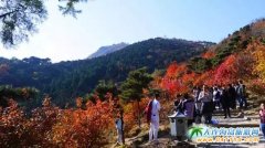 2015��9�����ζ�����Щֵ��һȥ�ĵط���