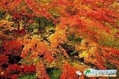 2015�f�����Tɽ���H���~������10��1���_Ļ