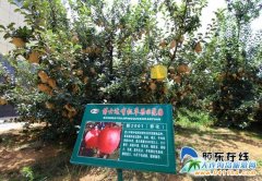 ��ʿ�_�O���������̡� ������׃�׸�����