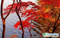 ��Ϫ�����~��ȥ̎����Ϫ�����~����Щ�ط��ã�