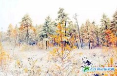 ���ɹ���ɫ�µ�����ѩ��