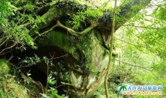 �_��̩��������o�أ��_������������ľ�^