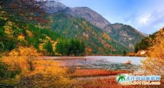 �Ȼ����g����կ�ϵ�����ʮ��