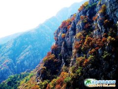 ��ܰ����Ψ���p��ء������B