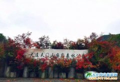 ���B�f�����Tɽ���~�����B���Tɽ���~���f�����Tɽ���~