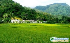 ����ע��Խ��Խ������B���ź����B����