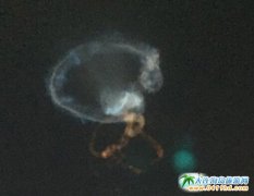 �½��젖���@�F��������