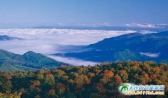 �{�G���ӤΘO��������ʮ�����