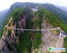 ���ҽ�Ĳ�������������