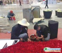 2015���H�ý����������ý�������13���_Ļ