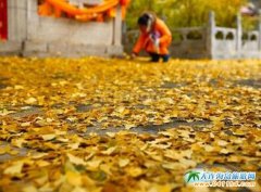 ��̶�����y�ӹ����ڱ�������ǧ��ʼҹńx̶�����_Ļ