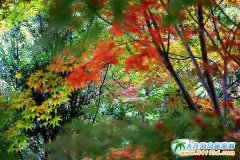 �����S�������^(q��)�����΄�(sh��)���f�t��